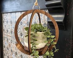 a potted plant hanging from a wooden holder