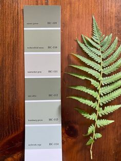 a green fern sitting on top of a wooden table next to some paint swatches