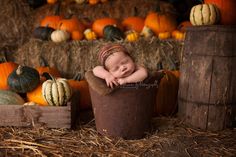 a baby is sleeping in a bucket with hay and pumpkins behind it on the ground