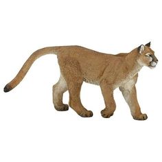 an image of a mountain lion on a white background that looks like it is walking