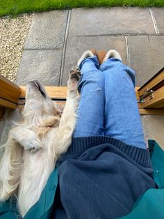 a dog is laying down on the ground next to someone's legs and feet