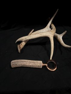 a deer antler with a keychain on top of it