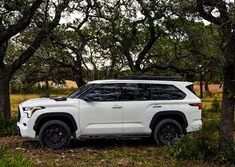 a white suv parked in the middle of some trees and grass with no leaves on it