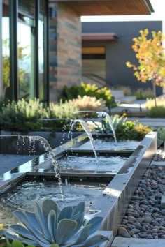 an outdoor water feature with plants and rocks