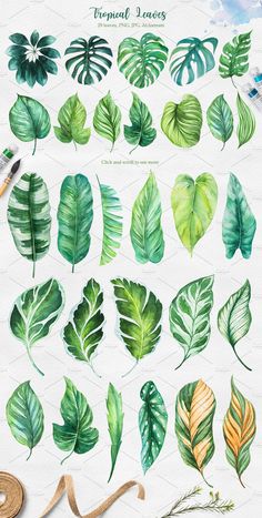 watercolor tropical leaves are shown in green and yellow