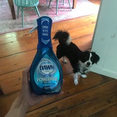 a small dog standing next to a bottle of dawn power wash on the wooden floor