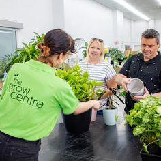 three people standing around a table with potted plants on it and one person holding a plant