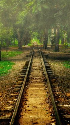 an old train track in the middle of a park with trees on both sides and green grass to the side