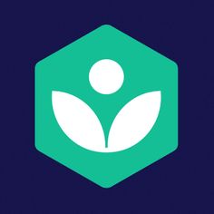 a green hexagonal icon with white leaves in the center on a dark blue background