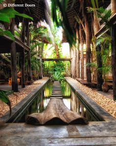 the inside of a tropical garden with water and palm trees