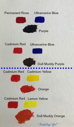 the different colors of lipstick are shown in this chart, with each color on it's own side