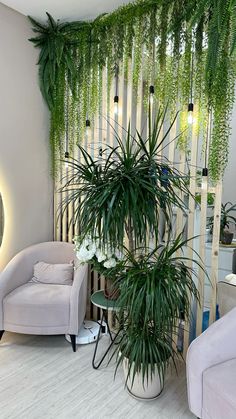 a living room filled with furniture and plants