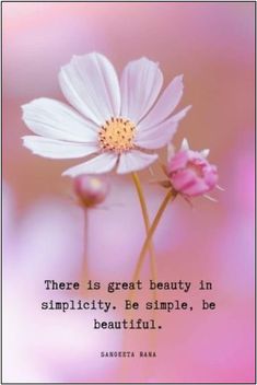 there is great beauty in simpleity, be simple, be beautiful