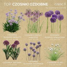 various types of flowers are shown in this poster