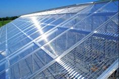 a large clear greenhouse with lots of plants in the back ground and blue sky above