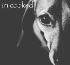 a black and white photo of a dog with the words i'm cooked on it