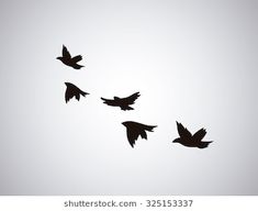 black birds flying in the sky on a gray background