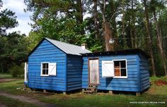 a small blue house sitting in the middle of a forest