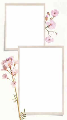 two square frames with pink flowers on them and one has a single flower in the middle