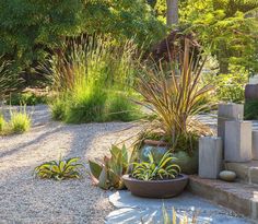 a garden with lots of plants and rocks on the ground in front of some trees