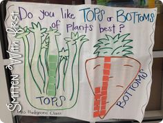 a sign that says do you like top or bottom bottoms? and carrots best?