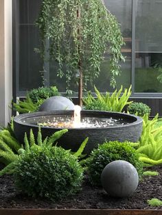 an outdoor fountain surrounded by plants and rocks