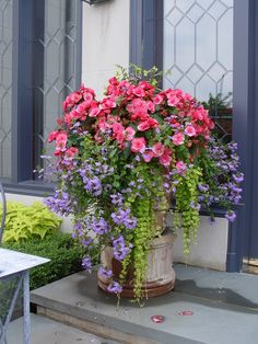 a potted plant with pink and purple flowers