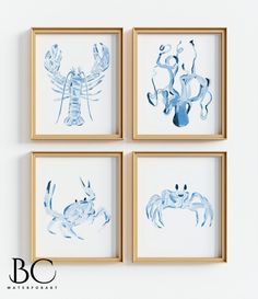 three framed pictures with blue ink drawings of crabs and lobsters on white paper in wooden frames