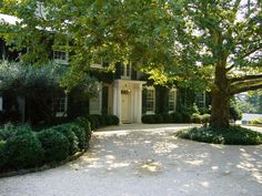 a large house surrounded by trees and bushes in front of the entrance to the driveway