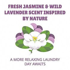 a white flower with green leaves on it and the words fresh jasmine & wild lavender scent inspired by nature