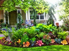 the front yard is full of flowers and plants