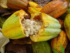 an open cocoa pod on the ground surrounded by leaves and other fruit that have been cut in half