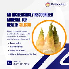 Silicon, a vital mineral, has been shown to detoxify aluminum, and support many other functions in the body. 

Read more on our blog here:
https://smpl.is/9rnpn

Signup for our Newsletter containing information you won't find anywhere else:
https://smpl.is/9rnpo High Cholesterol Diet, Cholesterol Diet, Vitamins & Supplements, Brain Health, The Leader