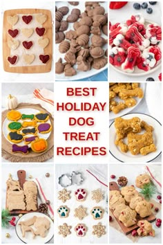 the best holiday dog treat recipes