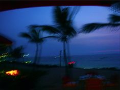 the view from an outside dining area at night, with palm trees in the foreground