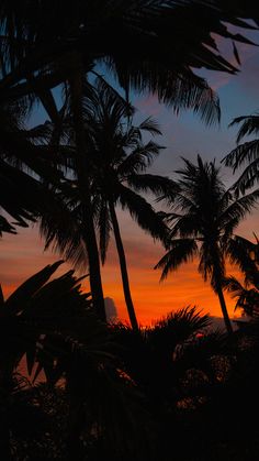 the sun is setting behind some palm trees