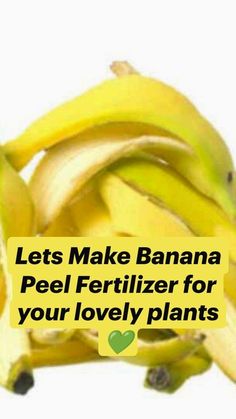 bananas with the words lets make banana peel fertiizer for your lovely plants