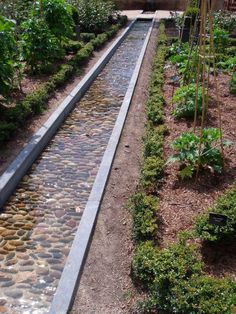 an outdoor garden with water running through it