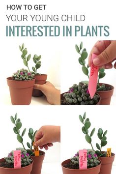 how to get your young child interested in plants with this easy and fun activity for kids