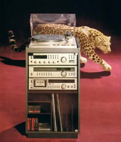 an old record player is sitting on top of a shelf in front of a leopard