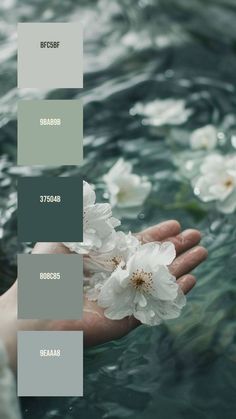 a person holding flowers in their hand with water and greenery behind them that is color swatches