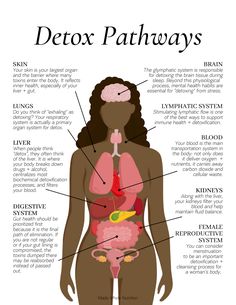 Detox Pathways, Functional Health, Inner Health, Resep Diet, Feminine Health, Makanan Diet, Herbs For Health, Health Research, Health Habits