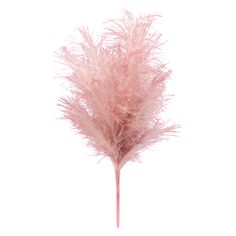 "Purchase the 22\" Pink Glitter Pampas Grass Bush by Ashland® at Michaels. A festive and decorative addition to your flower arrangement, this pink glitter pampas grass will pair nicely with poinsettias, white roses, pine and more! Create a gorgeous seasonal flower arrangement with this white pampas grass bush from Ashland. A festive and decorative addition to your flower arrangement, this pink glitter pampas grass will pair nicely with poinsettias, white roses, pine and more! Details: Pink 22\" Large Ornaments For Pampas Tree, Pink Pampas Christmas Tree, Pink Pampas Grass Wedding Centerpieces, Blush Pink Tree, Pampas Grass Xmas Tree, Pampas Grass Christmas Tree Picks, White Pampas, Seasonal Flowers, Pampas Grass