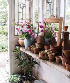 many potted plants are sitting on a window sill in front of a mirror