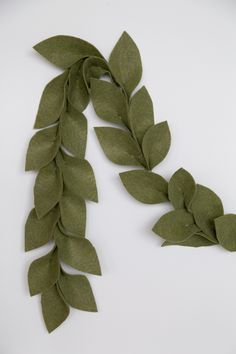 some green leaves on a white surface