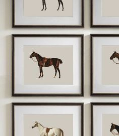 four framed pictures of horses in different colors