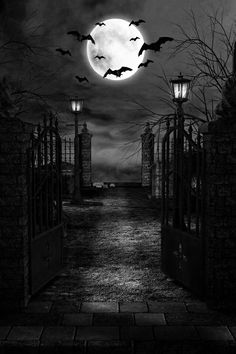 a black and white photo of bats flying over an entrance to a cemetery at night