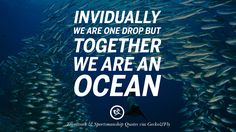 a large group of fish swimming in the ocean with a quote about individually we are one drop but together we are an ocean