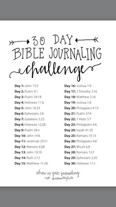 the daily bible journal with an image of numbers and dates for each month on it