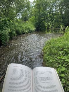 an open book sitting on top of a river next to lush green grass and trees